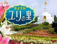 ゆりポスター3 ゆりポスター3