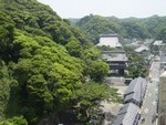 誕生寺 と　鯛の浦 ﾕ-ｽ会