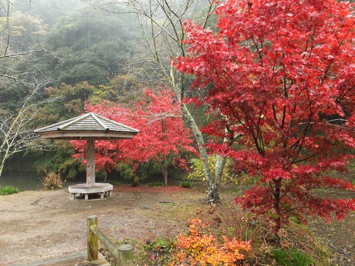 小松寺の紅葉 公式 満ちてくる心の宿 吉夢